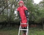 Picking Fruit