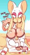 Amy and Rouge at the Beach [Diives]