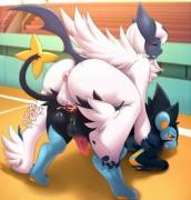 Absol loves it&lt;3