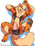 Arcanine (Negger)