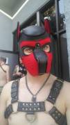 New to the pup play scene. Have a handler, just trying to better understand my head space.