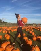 Picking pumpkins