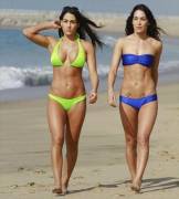 Bella Twins &lt;3