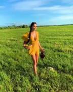 Yellow Fields (GIF)