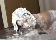 Horny Japanese couple have sex in thick whipped cream