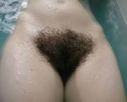 Thick bush in tub