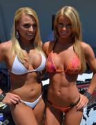 Longhorn Harley bikini contest 4-21-12