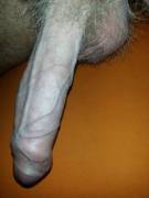 Pale veiny cock