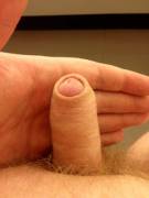 Small uncut boner