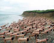 Nude Beach Yoga