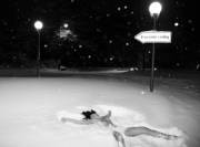 Snow Angel Nudism