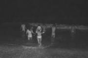 Night Skinny Dipping @ The Beach