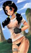 Videl