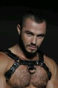 Jessy Ares